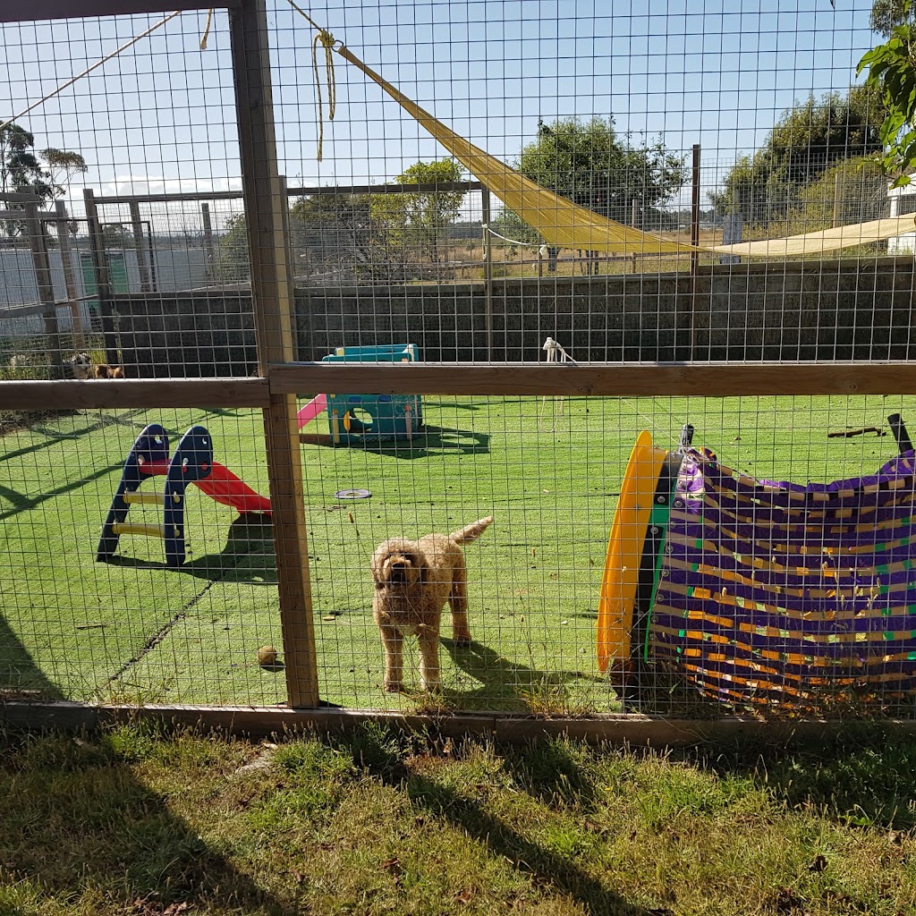 Doggos on Shelomith | 97 Shelomith Dr, Acton Park TAS 7170, Australia | Phone: 0439 984 260