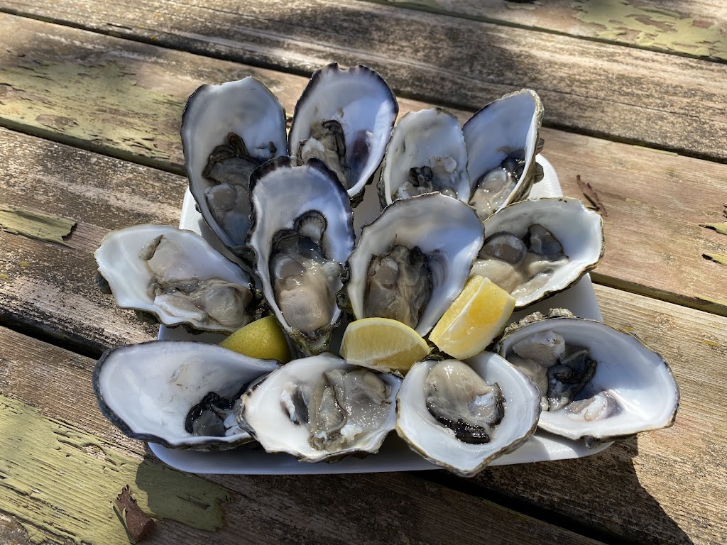 Baldys Fresh And Frozen Seafood Ceduna | 281 Slipway Rd, Thevenard SA 5690, Australia | Phone: 86253640