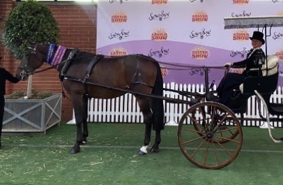 Fernhill Australia Arms | 3109 Great Western Hwy, Hartley NSW 2790, Australia | Phone: 0410 565 847