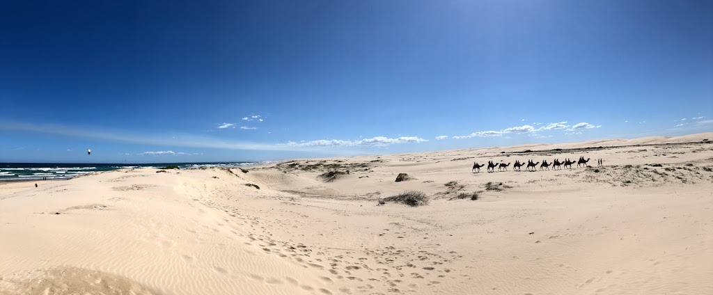 Sand Dunes Anna Bay | park | Anna Bay NSW 2316, Australia