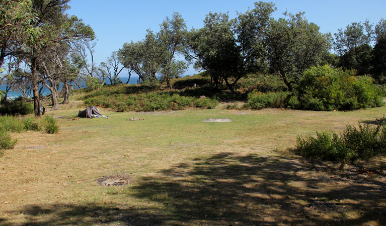 Middle Beach campground | Middle Beach Road, Tanja NSW 2550, Australia | Phone: (02) 4476 0800
