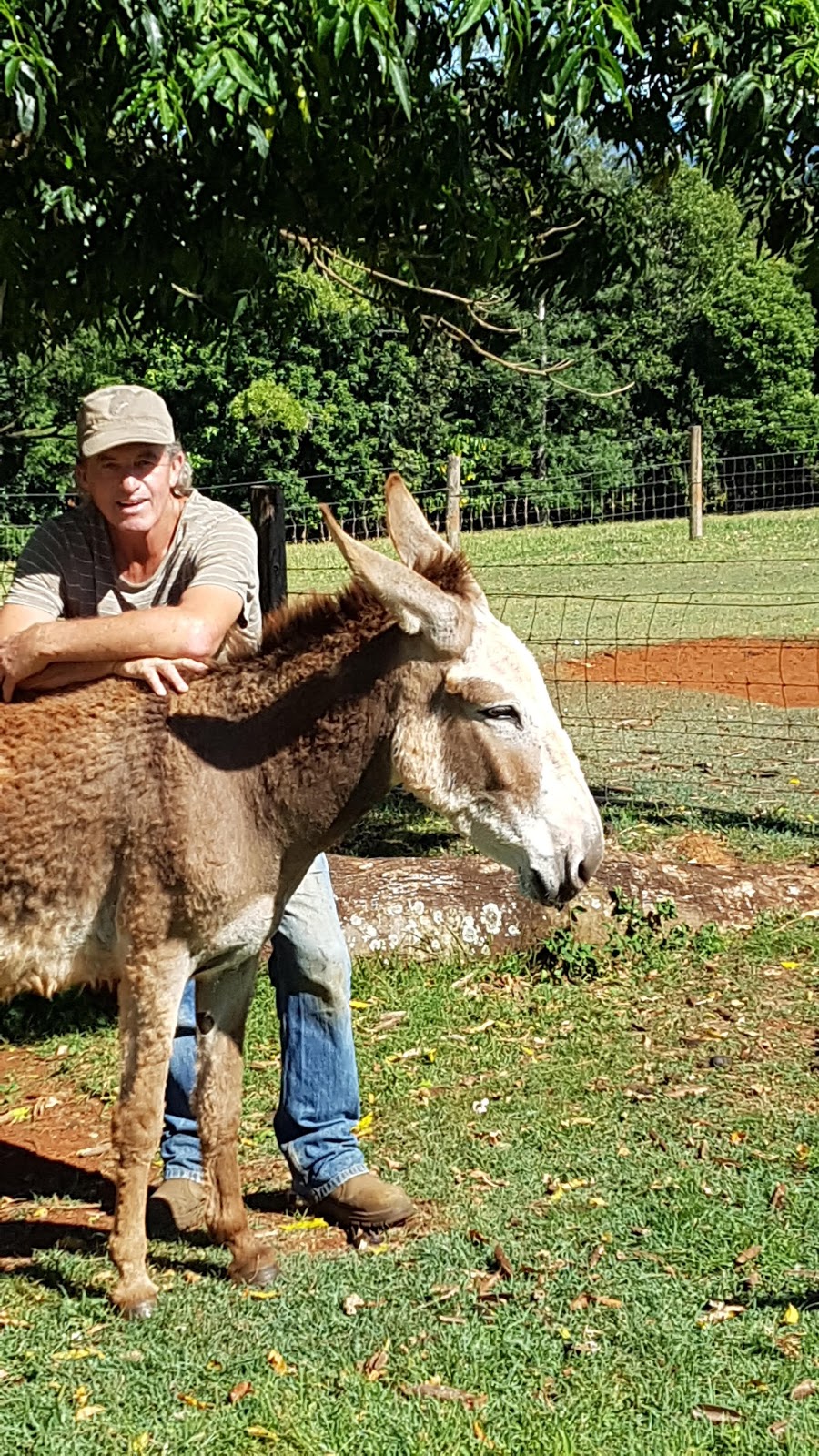 Respite At The Creek | 56 Tooheys Mill Rd, Pearces Creek NSW 2477, Australia | Phone: 0415 701 116