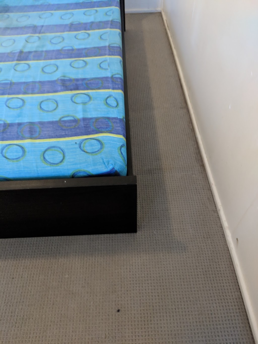 Tru Blue Carpet Cleaning & Pest Control | laundry | 14 Andrew St, Bundamba QLD 4304, Australia | 1300850303 OR +61 1300 850 303