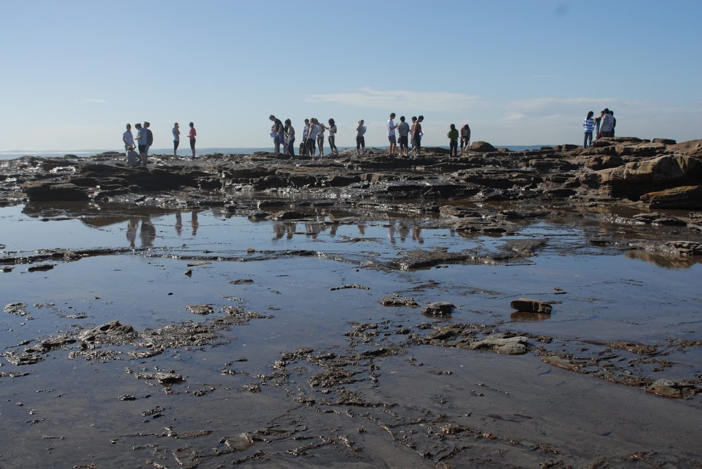 Auseco Field Studies in Environmental Education | 5/69 Kalang Rd, Elanora Heights NSW 2101, Australia | Phone: (02) 9970 6456