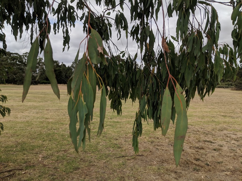 Manna Gum Park | park | Beaconsfield VIC 3807, Australia | 131963 OR +61 131963