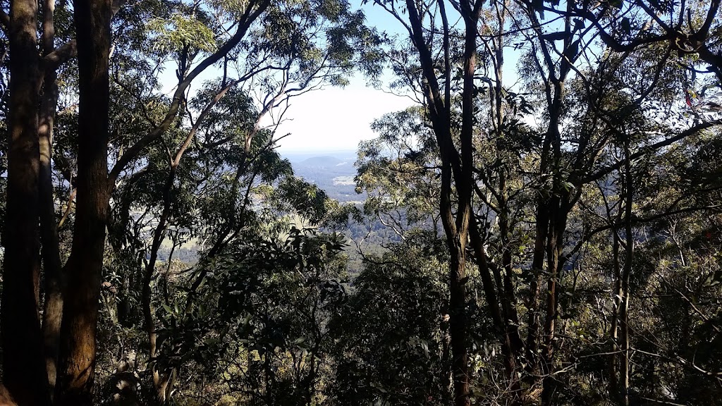 Heaton State Forest | Mount Vincent NSW 2323, Australia | Phone: 1300 655 687