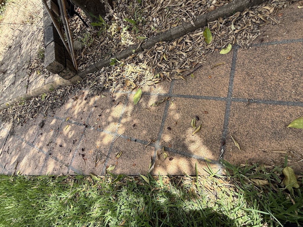 OCG Pest Control Campbelltown | 116 Waminda Ave, Campbelltown NSW 2560, Australia | Phone: (02) 9820 5534