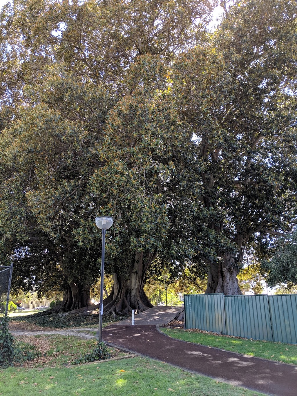 Robinson Park | park | 111 Palmerston St, Perth WA 6000, Australia