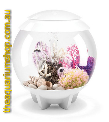 The Aquarium Shop Australia | pet store | Hope Island QLD 4212, Australia | 0755510235 OR +61 7 5551 0235