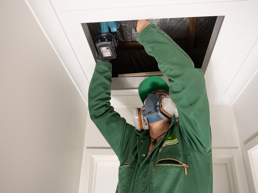 Pied Piper Pest Control | 542a Nelson Rd, Mount Nelson TAS 7007, Australia | Phone: 0415 819 602