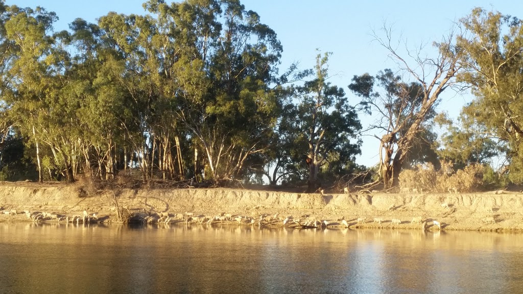 Gadsen Bend Park | Darwin Rd, Robinvale Irrigation District Section C VIC 3549, Australia | Phone: 13 19 63