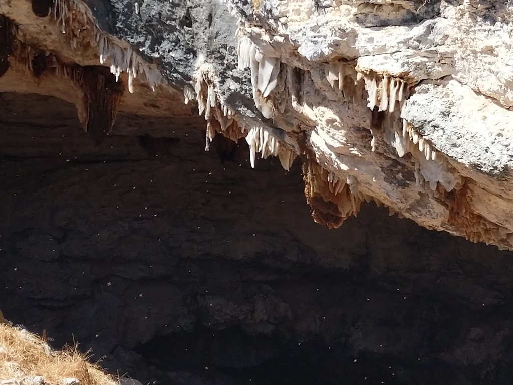 Drovers Cave National Park | park | Jurien Rd, Jurien Bay WA 6516, Australia | 0896886000 OR +61 8 9688 6000