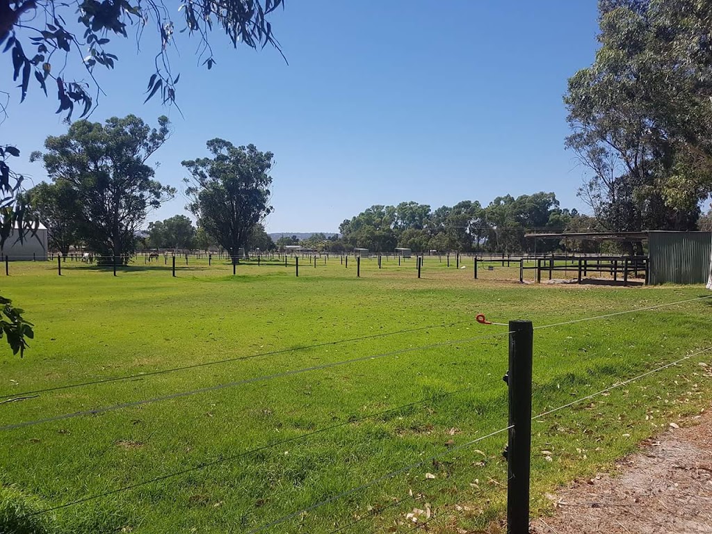 Mys-tro Park Farms Horse Agistment |  | 44 Strachan Rd, Bullsbrook WA 6084, Australia | 0424960910 OR +61 424 960 910