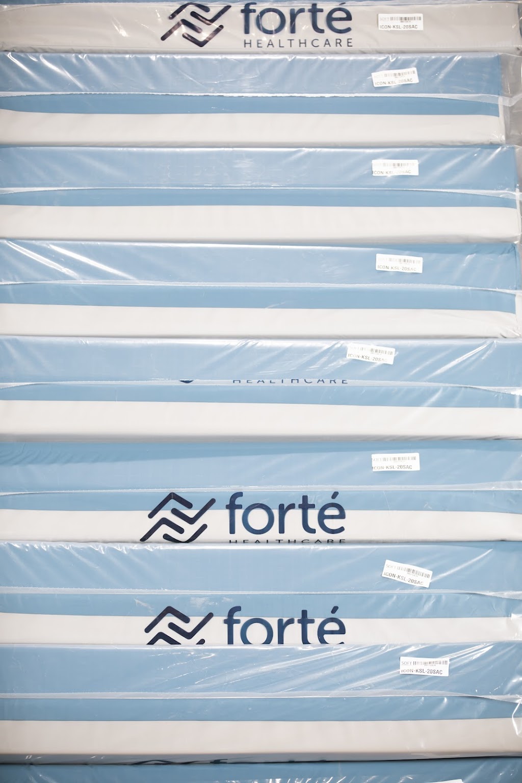 Forte Healthcare | 10 Ribbon Gum Ave, Armidale NSW 2350, Australia | Phone: 1300 731 163