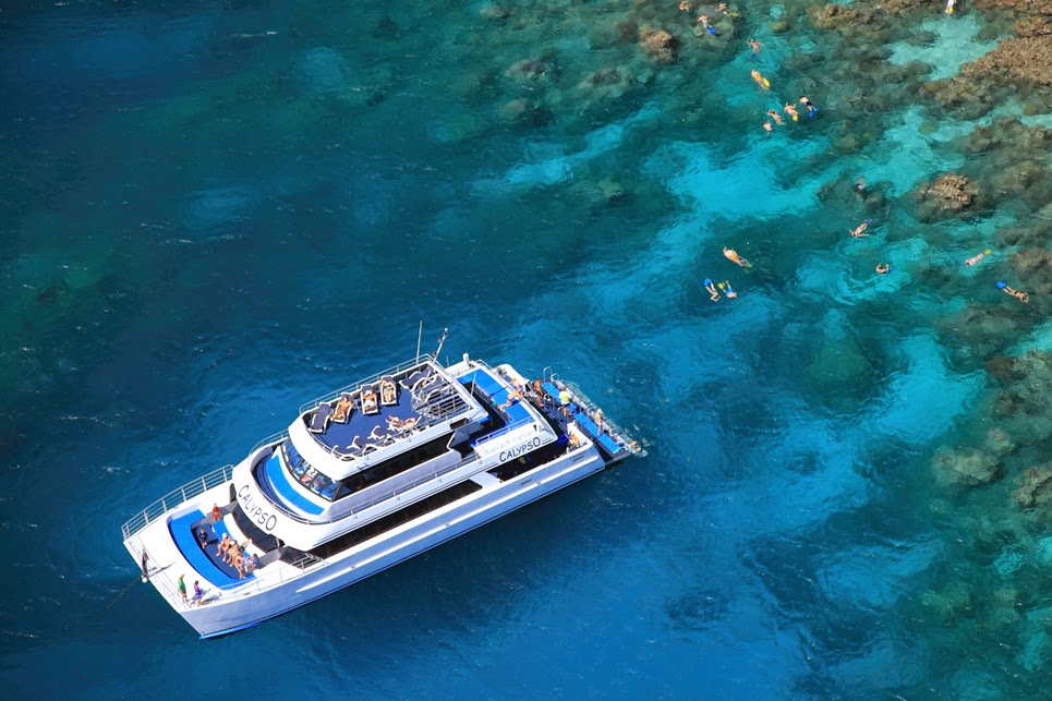 Calypso Reef Charters | travel agency | 44 Wharf St, Port Douglas QLD 4877, Australia | 0740996999 OR +61 7 4099 6999