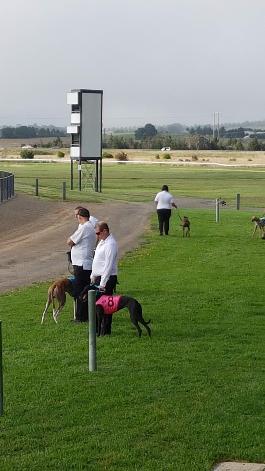 Goulburn Greyhound Racing Club | 47 Braidwood Rd, Goulburn NSW 2580, Australia | Phone: (02) 4821 4465