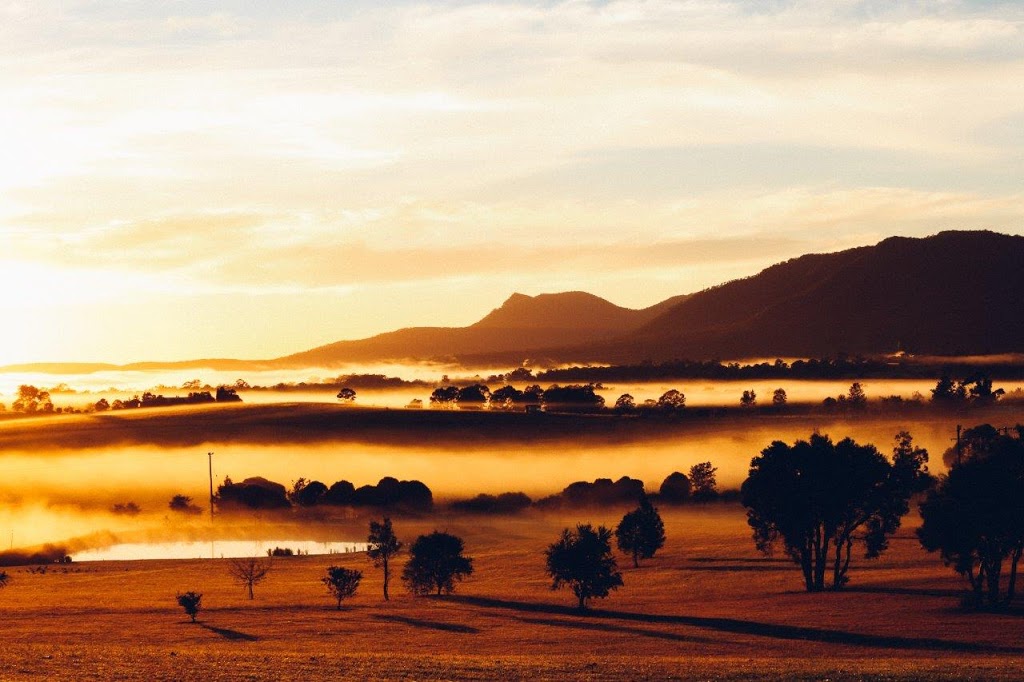 Broke Fordwich Wine Tourism Association | 4 Wollombi Rd, Broke NSW 2330, Australia | Phone: (02) 6579 1056