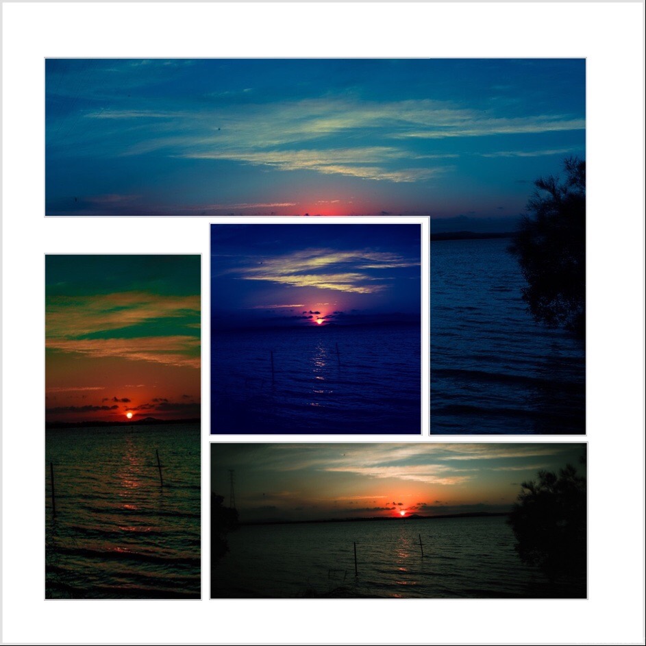 Artist Samida Sargeant MD | 3 Yara St, Russell Island QLD 4184, Australia | Phone: 0423 686 872