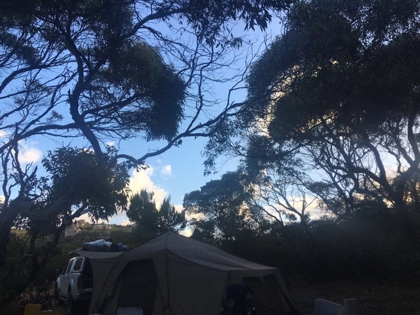 Waychinicup Campsite | campground | Unnamed Road, Cheynes WA 6328, Australia