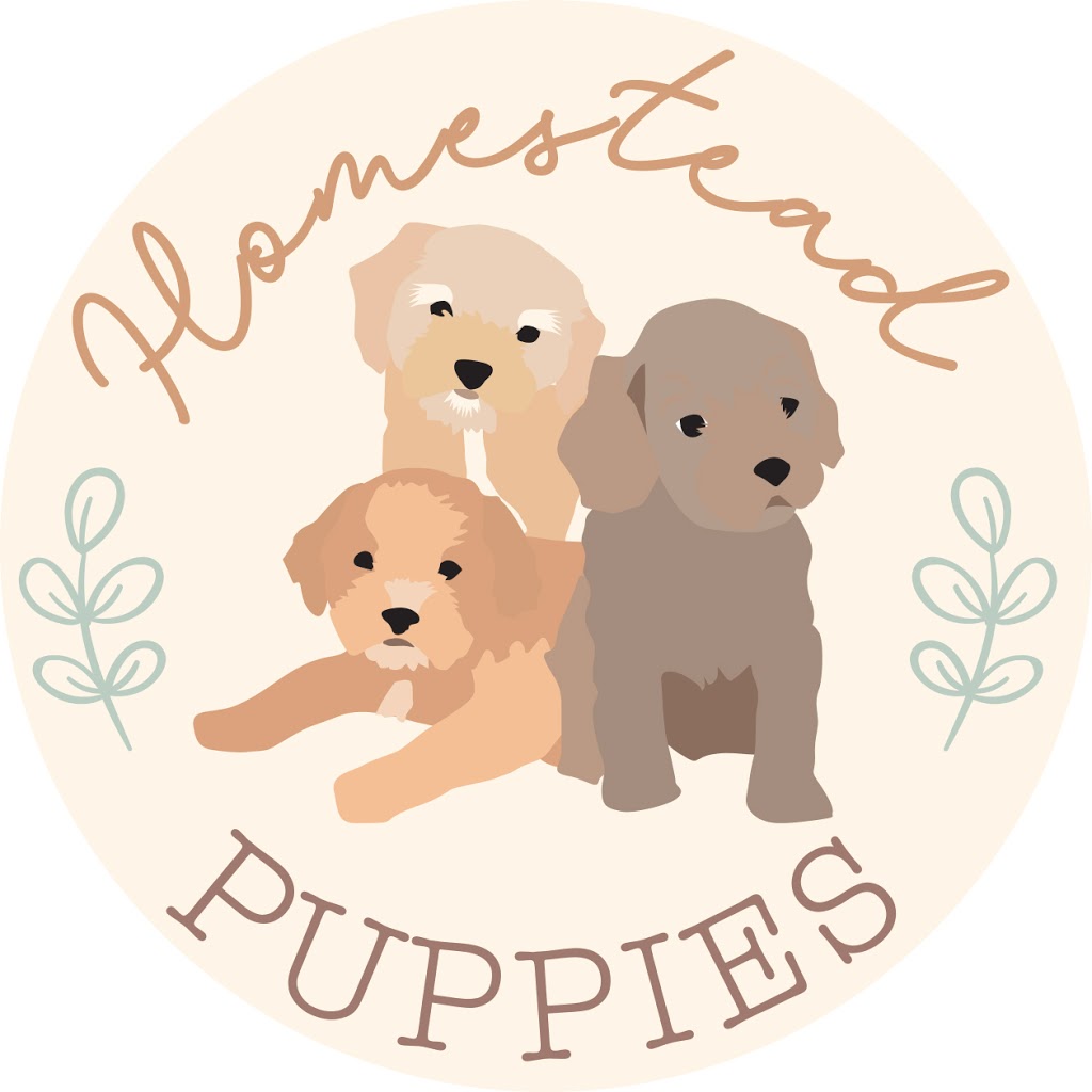 Homestead Puppies - Dog Breeder Cavoodle Moodle |  | Greens Rd, Melton South VIC 3338, Australia | 0413812603 OR +61 413 812 603