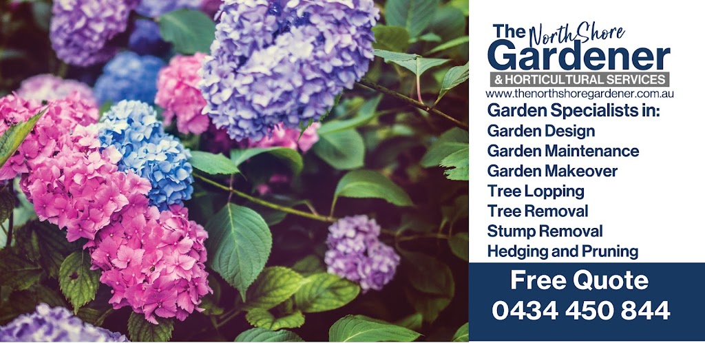 The North Side Gardener | 30 Luxor Parade, Roseville NSW 2069, Australia | Phone: 0434 450 844