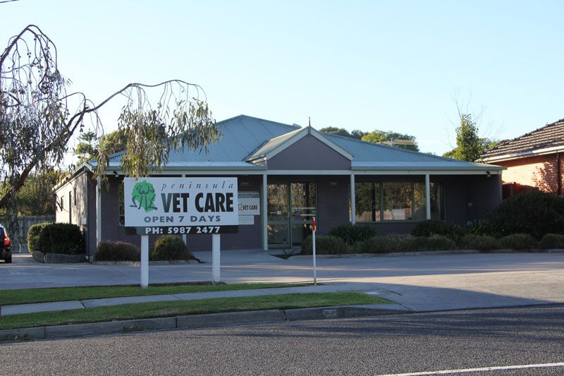 Peninsula Vet Care - Dromana | veterinary care | 27 McCulloch St, Dromana VIC 3936, Australia | 0359872477 OR +61 3 5987 2477