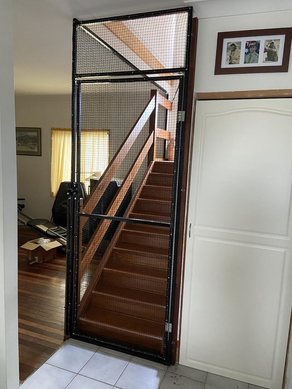 Cat Max Clear Net Enclosures | 11 Sandalwood Dr, Lammermoor QLD 4703, Australia | Phone: 1300 306 605