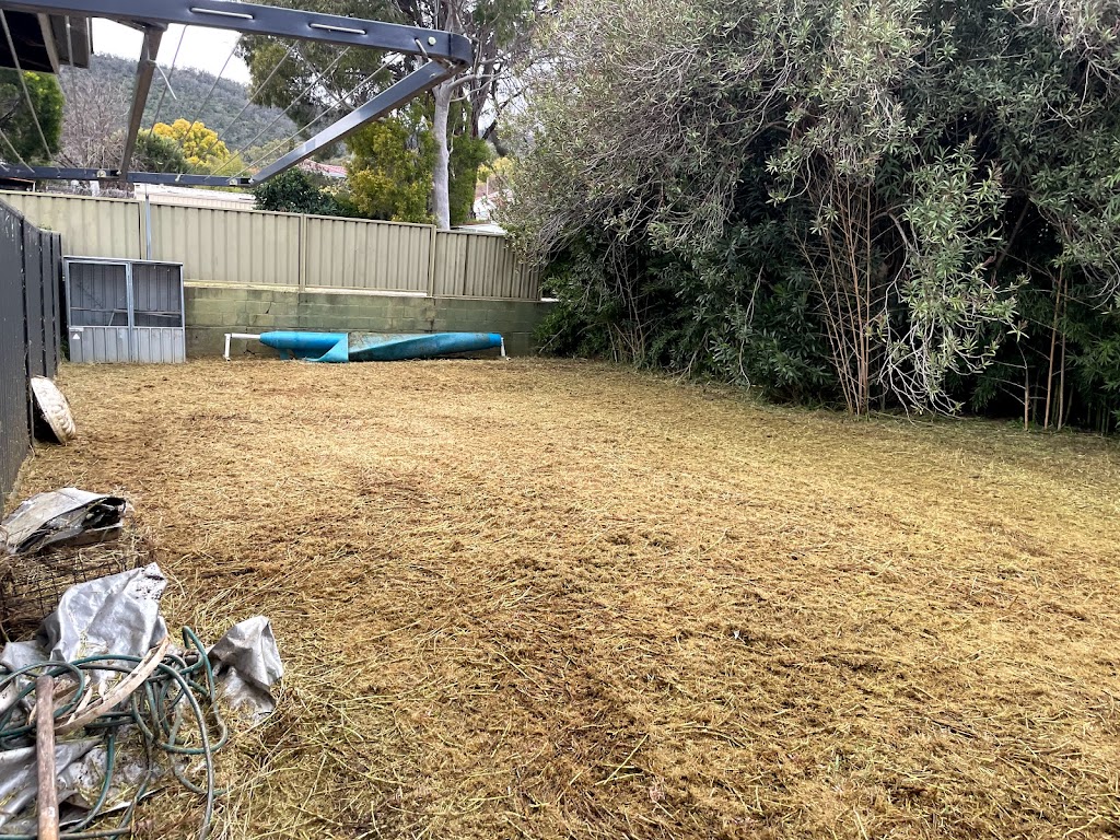 Shredas lawn mowing & more | 19 Murray St, East Tamworth NSW 2340, Australia | Phone: 0432 297 807