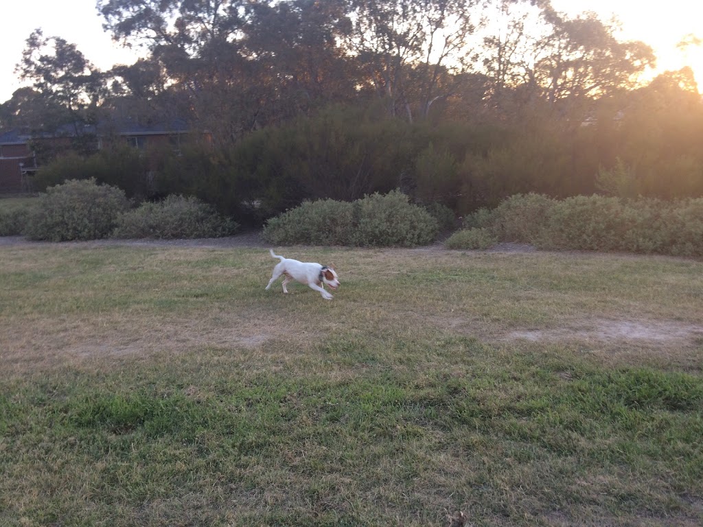Mill Park Dog Off Leash Park | park | Kangaroo Terrace, South Morang VIC 3752, Australia