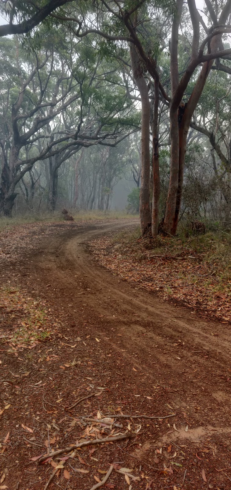 loftus mtb park