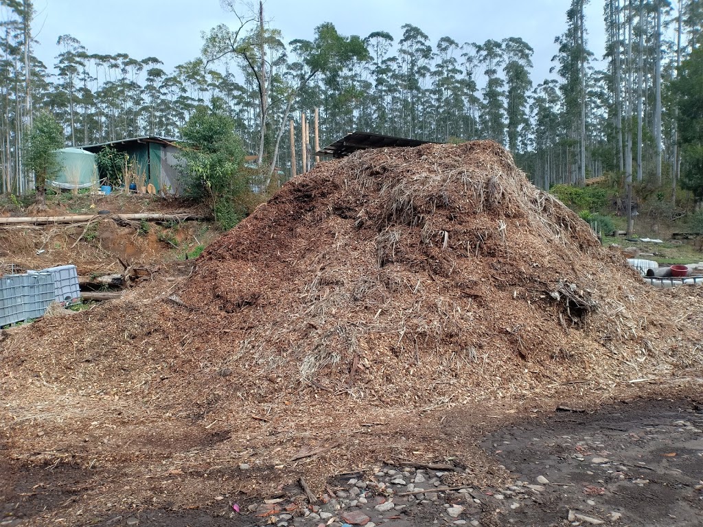 Clear view tree service | 34 Glacier Ln, Nabiac NSW 2312, Australia | Phone: 0499 373 615