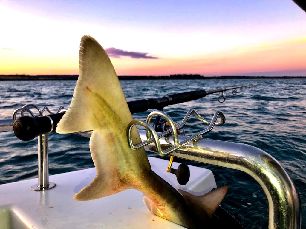 Think Big Fishing Charters | 2 Stony Point Rd, Think BIG Fishing Charters Westernport, Stony Point VIC 3919, Australia | Phone: 0423 696 061