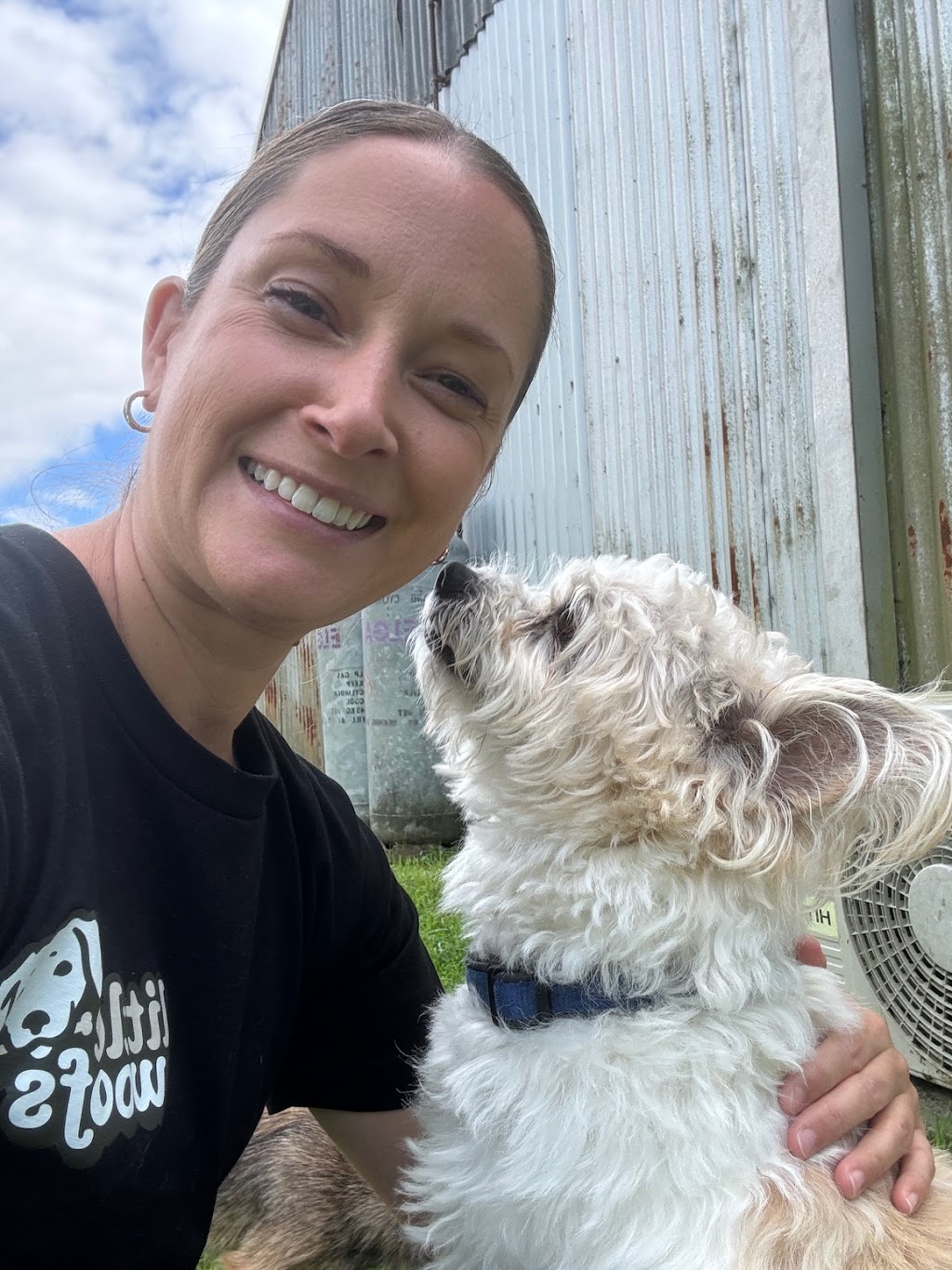 Little Woofs Doggy Daycare | 611b Wisemans Ferry Rd, Somersby NSW 2250, Australia | Phone: 0424 368 770