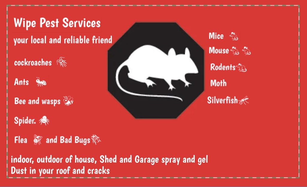 Wipeout pest services | 34 Maloney Cres, Maudsland QLD 4210, Australia | Phone: 0434 196 996