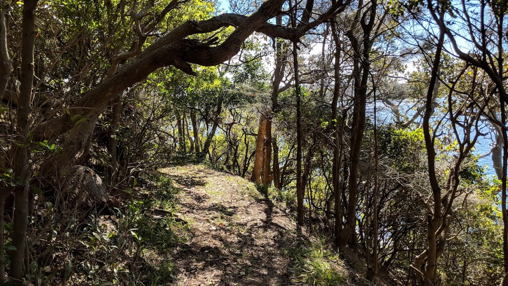 Clark Island pier | New South Wales, Australia | Phone: 1300 072 757