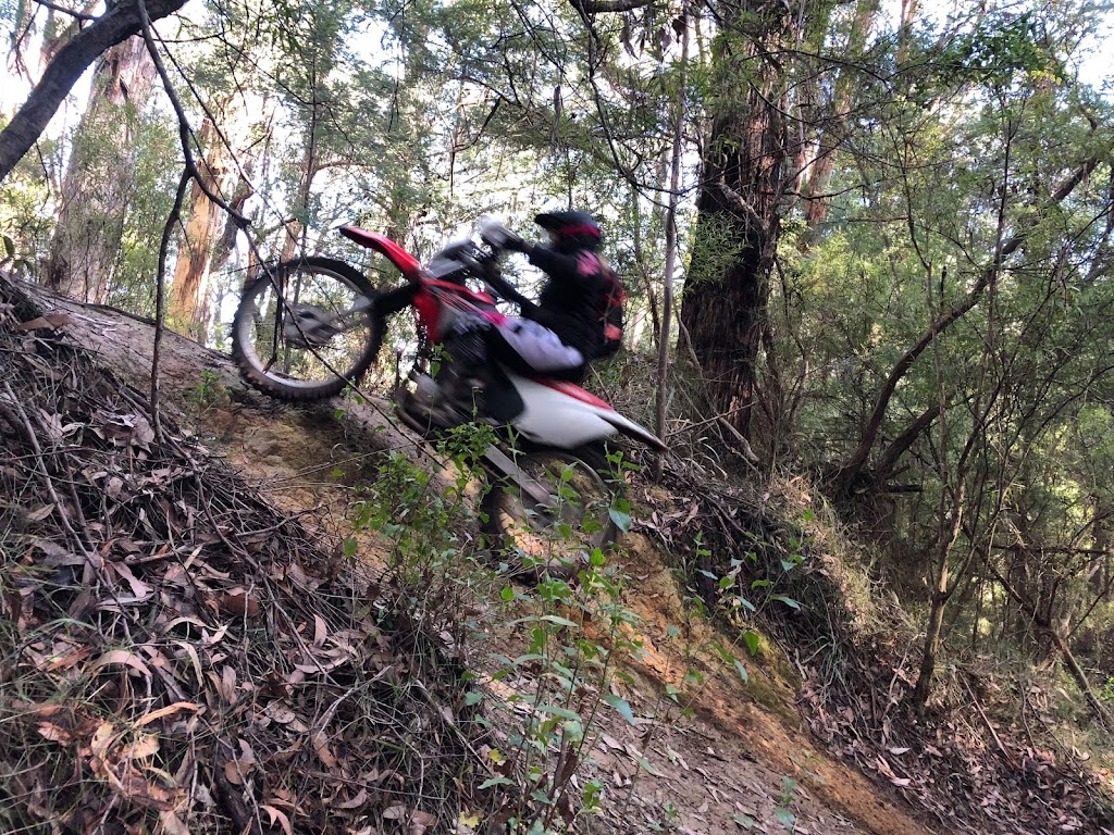 Aussie Dirtbike Tours | 8 school road, Erica VIC 3825, Australia | Phone: 0475 669 243