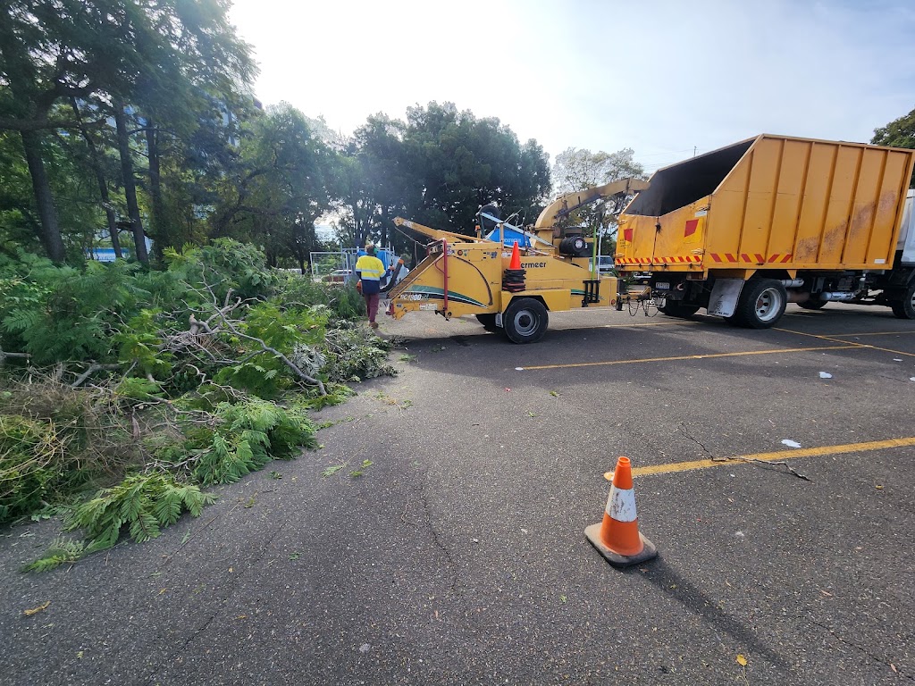 Magic Tree Services | 30 Heath St, Granville NSW 2142, Australia | Phone: (02) 5661 8855