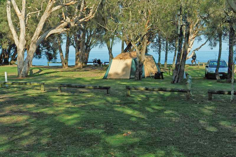 Amity Point Camping Ground | campground | Basin Dr, North Stradroke Island QLD 4183, Australia | 0734099668 OR +61 7 3409 9668