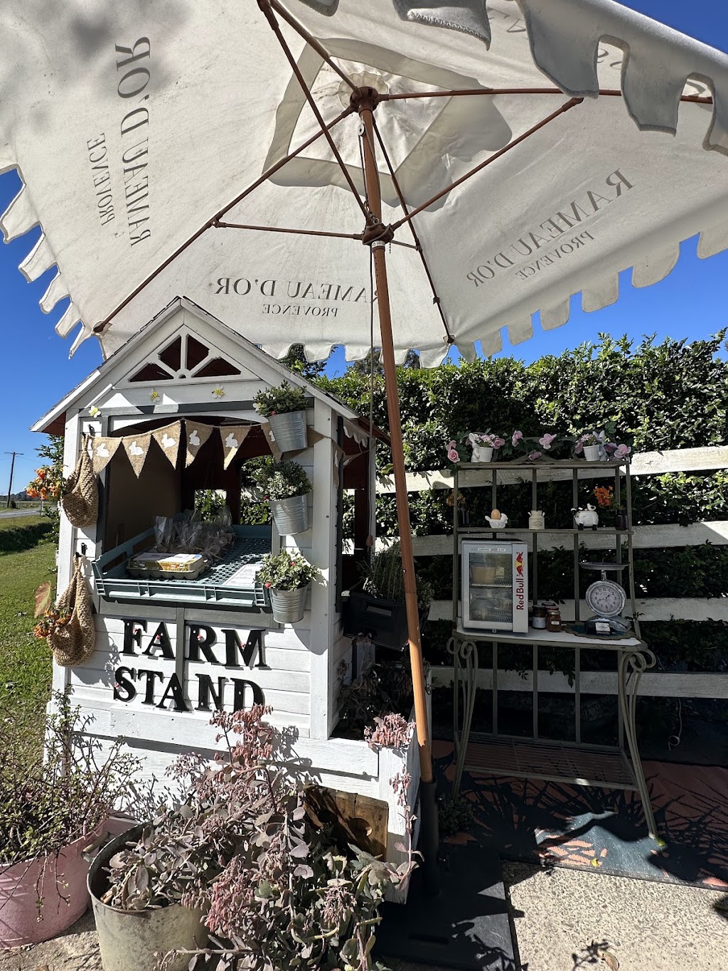 The Stables | 243 Cane Rd Murwillumbah, Tygalgah NSW 2484, Australia | Phone: 0450 651 403