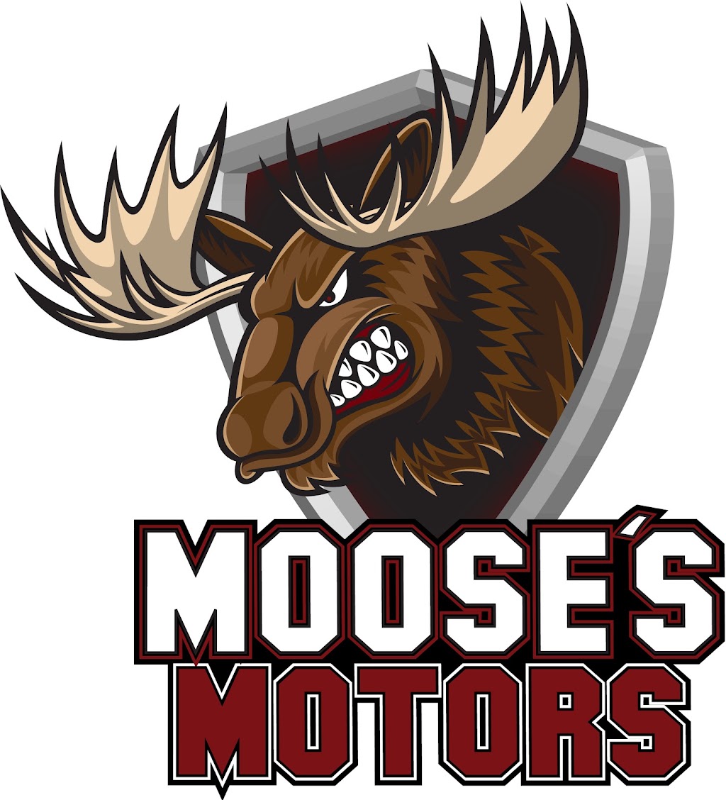 Mooses Motors Bendigo | 11 Roanoak Ct, East Bendigo VIC 3550, Australia | Phone: 0466 257 344