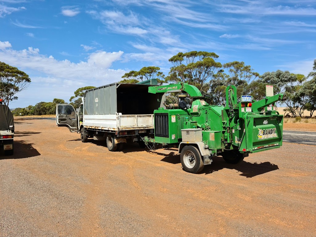 Pink Lake Tree Works | 804 Eleven Mile Beach Rd, Pink Lake WA 6450, Australia | Phone: 0400 660 141