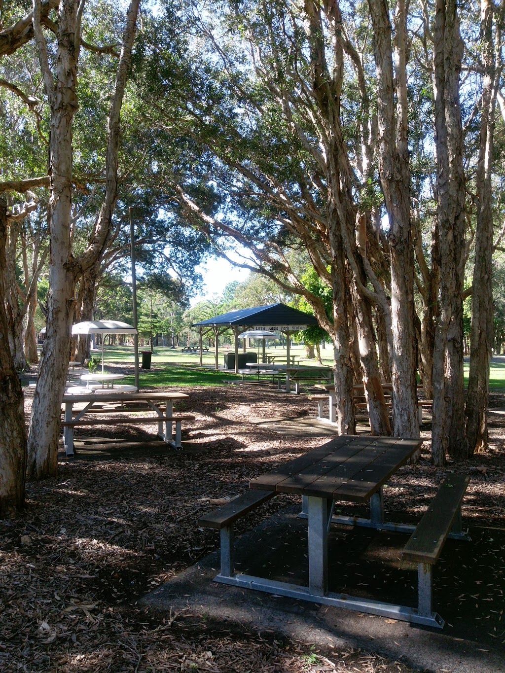 Koala Park | park | Colongra NSW 2262, Australia | 0243505555 OR +61 2 4350 5555