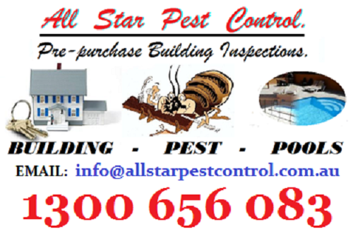 All Star Pest Control | home goods store | 2/74 Station St, Weston NSW 2326, Australia | 0412171919 OR +61 412 171 919