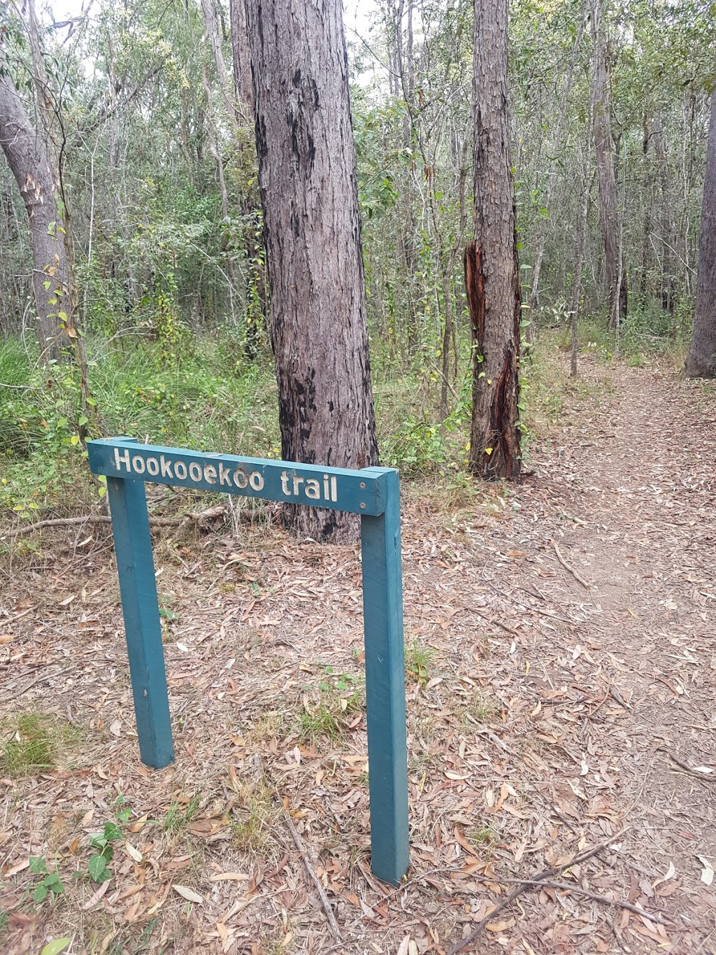 Cordalba State Forest | park | Booyal QLD 4671, Australia