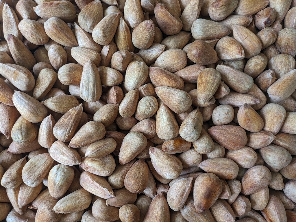 Hinterland Harvest | 9B Noble Rd, Blue Knob NSW 2480, Australia | Phone: 0450 604 357