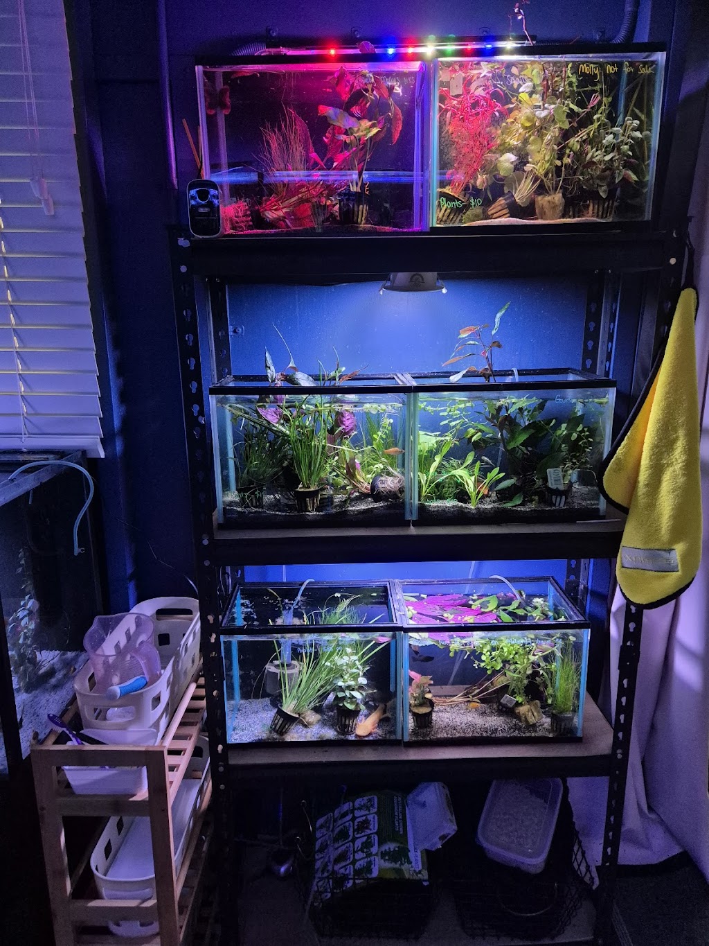 Fins and Fur | 52 Marshall St, Goondiwindi QLD 4390, Australia | Phone: 0448 507 158