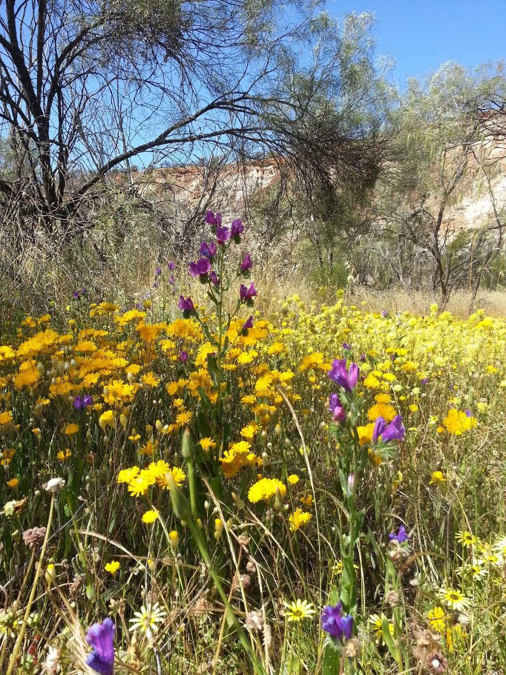 Coalseam Conservation Park | 3424 Coalseam Rd, Holmwood WA 6522, Australia