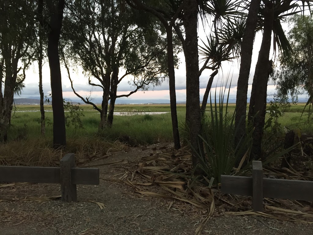 Freshwater bird hide | park | Town Common QLD 4810, Australia