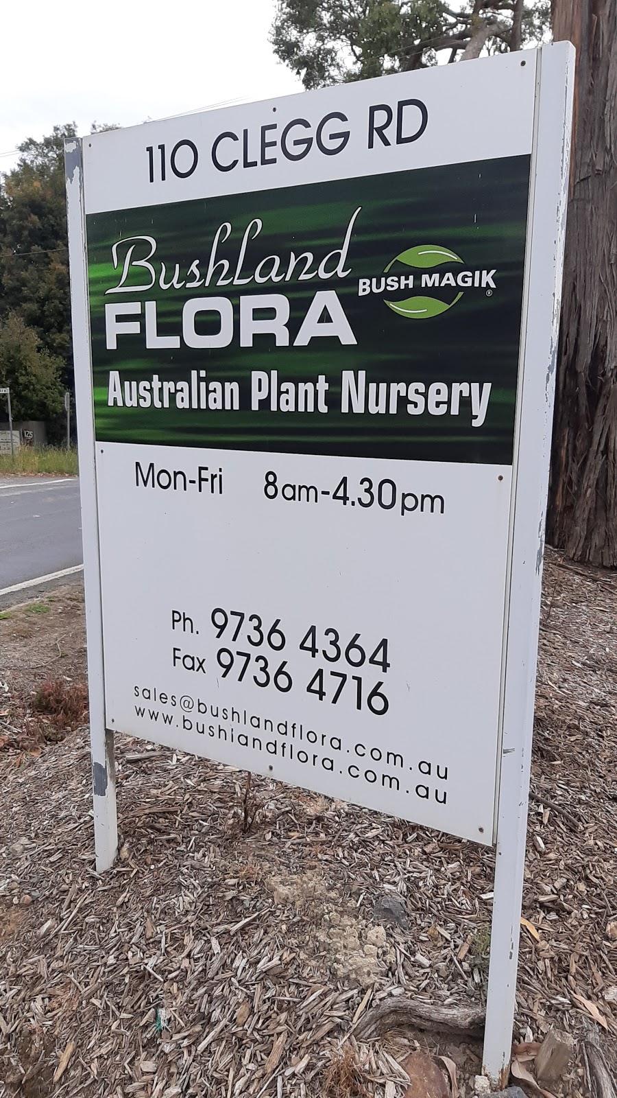 Bushland Flora | 110 Clegg Rd, Mount Evelyn VIC 3796, Australia | Phone: (03) 9736 4364