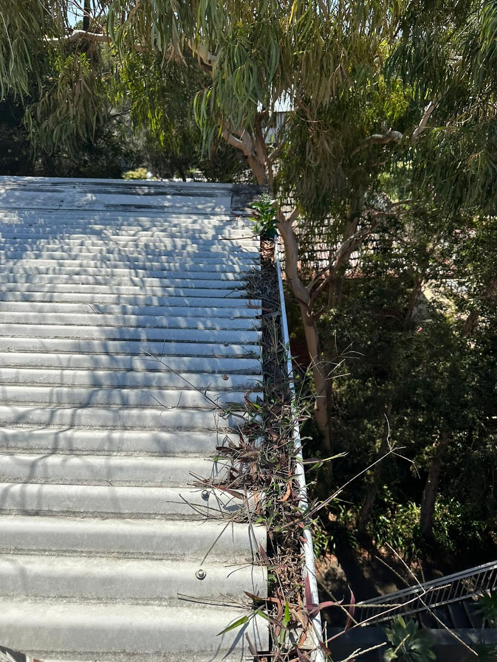 Skyline Roof Maintenance | 24 Matheson Ave, North Richmond NSW 2754, Australia | Phone: 0414 790 687 Skyline Roof Maintenance | 24 Matheson Ave, North Richmond NSW 2754, Australia | Phone: 0414 790 687